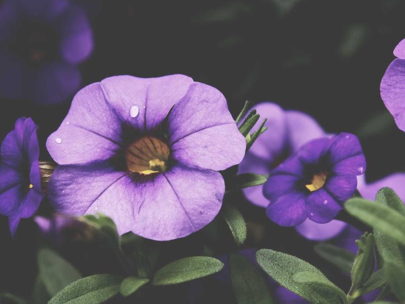 sudoku timer mode screenshot 3